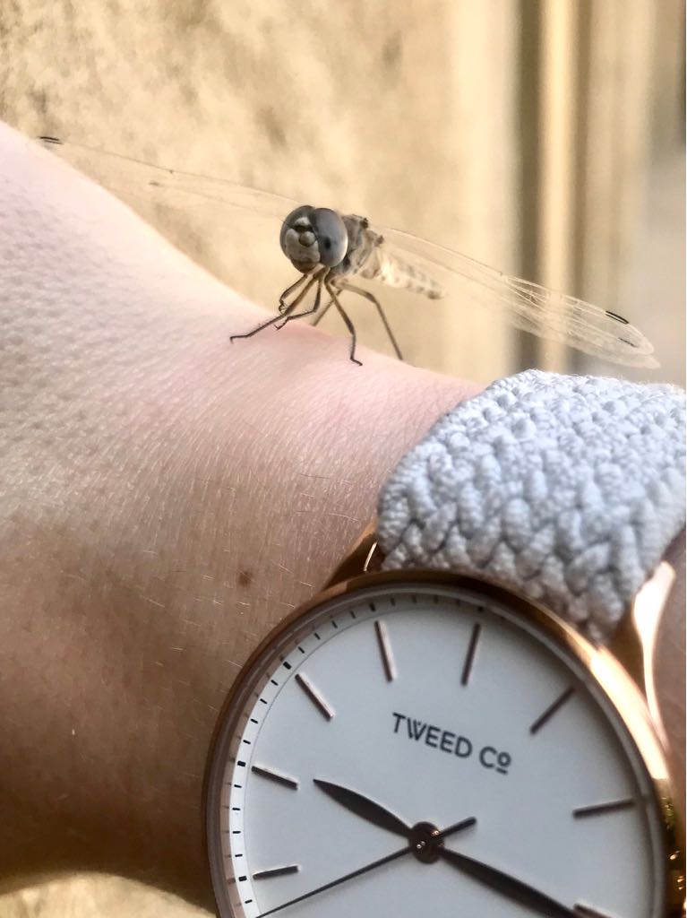 Fashion on the wrist: Braided elegance with Tweed Co. watches.